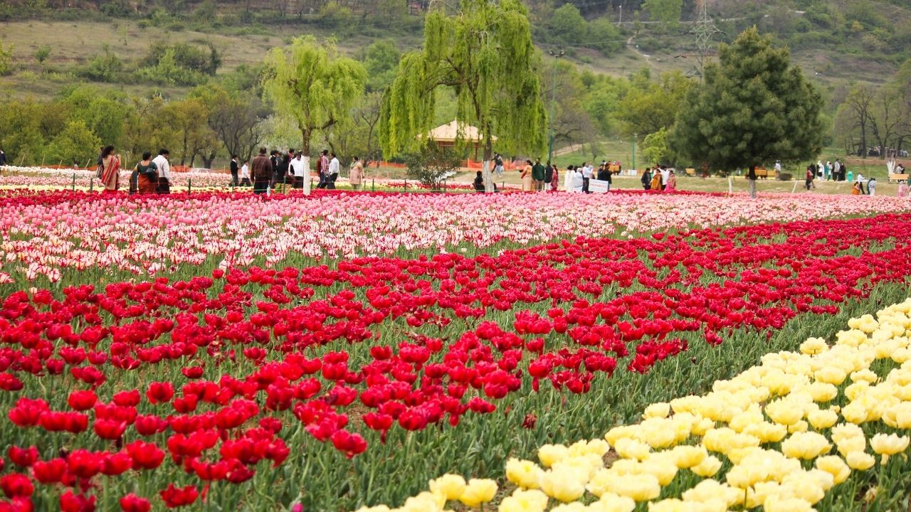 Magical Kashmir Escape